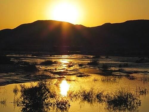 דרכים במדבר